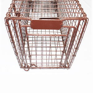 Meilleure vente petit piège à souris et écureuil en cage piège à martre pour animaux vivants à entrée supérieure piège à martre en fer écologique <span class=keywords><strong>antiparasitaire</strong></span> pour rats - Product Image 5