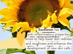 Lance OEMODM Crema Solare Minerale per Nuoto e Sport SPF 30 con Ossido di Zinco Naturale, Sbiancante per Viso e Corpo, Testata Dermatologicamente per Adulti - Product Image 4