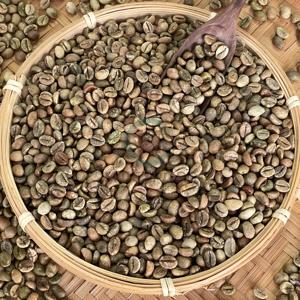High Quality Vietnam Robusta Green Coffee <b>Beans</b> Size 16 A Plus 95-99% Purity 60kg Bulk <b>Bags</b> Export Supply - Product Image 4