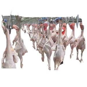 Máquina Comercial Automática de Acero para Desplumar Pollos y Patos, Motor de Sacrificio de Codornices Usado para Uso Agrícola - Product Image 5