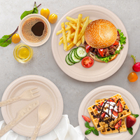 Vaisselle et plats jetables écologiques 100% compostables, en pulpe de papier blanc, assiette ronde en bagasse pour les fêtes