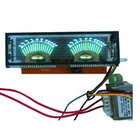 Modul Panel Display untuk Speaker Multimedia dan Amplifier Daya, Kit Display Fluoresen Transformator
