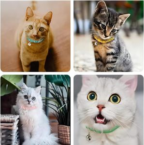 <span class=keywords><strong>Collar</strong></span> de Cuero PU para Cachorros con Campana, Ajustable, para Perros y Gatos, para Razas Extra Pequeñas, Pequeñas, Muy Pequeñas - Product Image 6