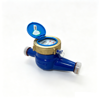 Durable Brass Casing Water Meter with High Accuracy Measurement