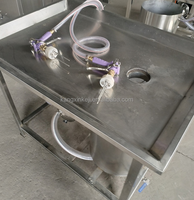 Machine d'injection semi-automatique de boulettes de viande et de marinade pour bœuf, 220V, à prix réduit, en promotion