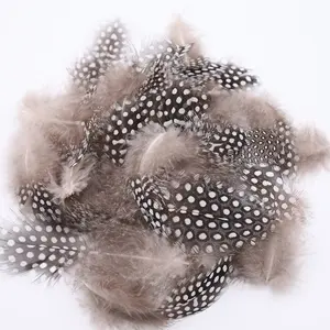 Wholesale bulk small DIY Craft Guinea Fowl feather Mix Color Pearl feather for hats Millinery corsage decoration