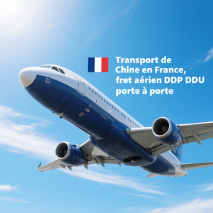 Servicio de transporte marítimo puerta a puerta profesional FCL LCL desde Dalian China hasta Toulon <span class=keywords><strong>Dunkerque</strong></span> France Shipping Company - Product Image 6