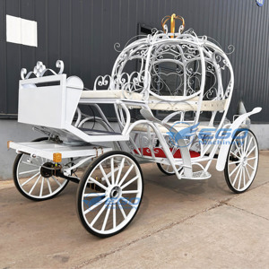 Carrozas de Caballos Eléctricas Modelo 2026 de Gran Venta, Carruajes Reales y Transporte Especial Tirado por Caballos en Venta - Product Image 6