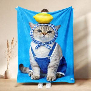 Couverture en flanelle motif chat de dessin animé mignon, plaid léger et respirant pour chambre et salon, impression personnalisée, vente en gros - Product Image 6