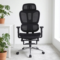 Chaise de bureau moderne ergonomique avec appui-tête et accoudoirs 2D réglables, soutien lombaire en maille et glissière