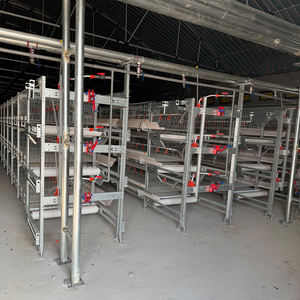 Hayvan kafesleri için en çok satan h-tipi Broiler tavuk çiftliği kulubesi 50000 kuş kapasiteli tavuk kafesi - Product Image 4