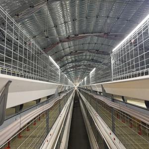 In vendita nuovo pollo automatico e batteria uccelli gabbia animale gabbia per la crescita degli uccelli - Product Image 3