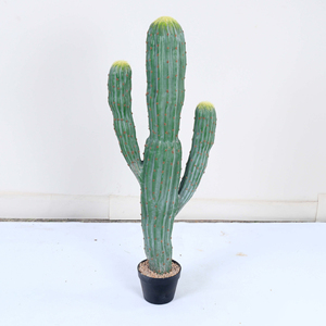 Plante de cactus artificielle en plastique, cactus synthétique pour aménagement paysager, pour décoration intérieure et extérieure, bureau, maison, plantes artificielles, plante artificielle - Product Image 1