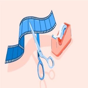 תוכנת עריכת תמונות וסרטונים חדשה של Wise Hustlers למחשבי MAC, גרסת אינטרנט, מקור פנג'אב, במלאי - Product Image 2