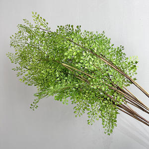 Plante artificielle en pot en plastique, Asparagus Fern Black Bone Fern, 76 cm, pour décoration intérieure/extérieure, Herbe Persane - Product Image 3