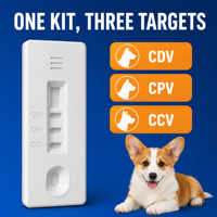 Carte de test de diagnostic rapide non invasif 3-en-1 pour la maladie de Carré, le parvovirus et le coronavirus chez le chien, exportation directe usine, 1 unité vétérinaire