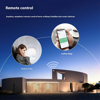 Mini Smart 220V Télécommande Sans Fil Pompe À Eau Commutateur Téléphone Portable WiFi Disjoncteur 2P Minuterie De Fuite Graffiti En Plastique
