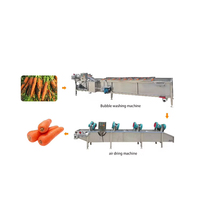 Industriële hoog-efficiënte 304 roestvrijstalen ultrasone fruitverwerkingslijn warmtewisselaar friteuse nieuwe fruit- en groentewasinstallatie