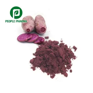 Produttore di GMP sfuso estratto di patata dolce viola antociani in polvere