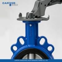 Vanne papillon à disque DIN certifiée CE Carter pour eau/air/gaz/fluide faiblement corrosif en fonte ductile, acier au carbone, acier inoxydable