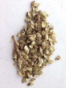 หัวปลาแอนโชวี่แห้งขายดี สำหรับอาหารสัตว์ ปลาแอนโชวี่บดสำหรับปุ๋ย โปรตีนสูง บรรจุถุง หัวปลาแอนโชวี่ - Product Image 6