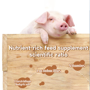 Mẫu miễn phí lợn tăng trưởng trọng lượng Boosters tăng trưởng nhanh hơn <span class=keywords><strong>premix</strong></span> cho thức ăn chăn nuôi lợn Lysine thức ăn chăn nuôi phụ gia - Product Image 5