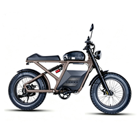 Sepeda Motor Listrik E-Moto 20-Rover 20*5.0 Ban Tebal 750W 48V20Ah Suspensi Penuh 7 Percepatan Sepeda Listrik Multiguna