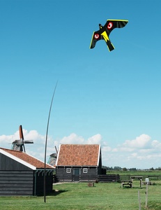 <span class=keywords><strong>Cerf</strong></span>-<span class=keywords><strong>volant</strong></span> répulsif <span class=keywords><strong>pour</strong></span> <span class=keywords><strong>oiseaux</strong></span> professionnel <span class=keywords><strong>pour</strong></span> usage agricole et de jardin |   Éloigner <span class=keywords><strong>les</strong></span> <span class=keywords><strong>oiseaux</strong></span> - Product Image 1