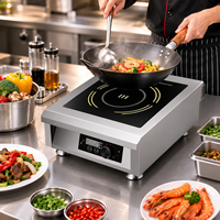 Sunmax Plaque de cuisson à induction commerciale entièrement métallique personnalisée 5000 Watt 8kw 7000w 3500W à semi-pont