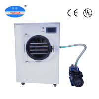 1Kg 2Kg Fruit Liofilizador Machine Prijs Kleine Mini Laboratorium Vacuüm Vriesdroogapparatuur Thuis Voedsel Vriesdroger