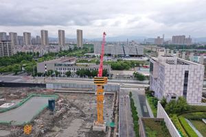 Bestselling Products Top Brand China's New 8 Ton Slt125h(t5022-8) Tower <b>Crane</b> Quality Guaranteed Lifting Equipment Motor Bearing - Product Image 5