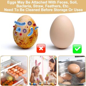 Gran oferta, cepillo de limpieza de huevos de silicona para pollo y pato - Product Image 4
