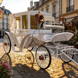 Calèche royale classique confortable de style européen pour la famille royale - Product Image 1