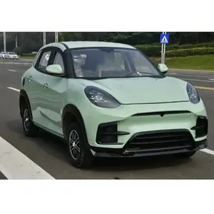 Hete Verkoop 2 Deur 4 Zetels Chinese Fabrieksleverancier Lage Snelheid 1500W Elektrische Auto Ev Mini Ev Auto