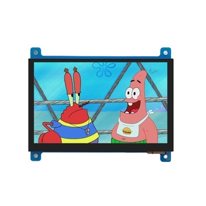 5 İnç LCD Ekran 800x480 HDM1 Arayüzlü Özel Tıbbi Sınıf Kapasitif Dokunmatik Panel 5 inç Renkli IPS TFT LCD Ekran Modülü - Product Image 1