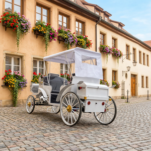 2026 Calèche électrique de tourisme blanche avec auvent, calèche de mariage à vendre - Product Image 1