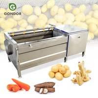Industriële mango-, dadel- en ananassalade-wasroller, automatische kleine fruitwasser en schilmachine voor groenten