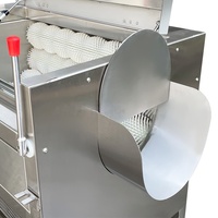 Automatische aardappelwasser en -schiller voor zoete aardappelen, cassave, taro, fruit en groenten, voor commercieel gebruik, hoge capaciteit.
