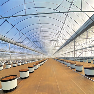 Single-Span Agricultural Greenhouse <b>Large</b> Film Cover Galvanized Steel Frame - Product Image 2