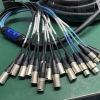 Microphone multicœur 12 canaux Audio Snake Cable 12 canaux XLR Y Splitter 3 broches mâle femelle Stage Box Équipement d'éclairage de scène