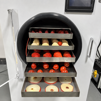 Beste Kwaliteit Vriesdroger Snoep Melk Fruit Drogen Lyofilisator Machine Prijs Voor Thuis Met Olievrije Vacuümpomp