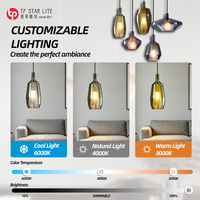 Luminaire suspendu décoratif, design moderne rond personnalisé, lampe pour salon, lustres multicolores soufflés à la main, luminaires suspendus au plafond