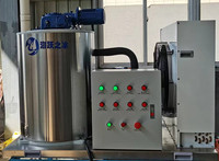 Máquina de Hielo en Escamas de 2 Toneladas de Haiyue Factory, Máquina de Hielo en Escamas Personalizada para Pescado, Máquina Comercial para Hacer Hielo en Escamas con Certificación CE