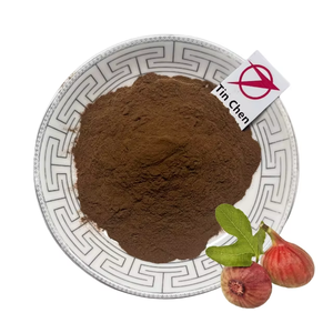 Poudre d'extrait <span class=keywords><strong>de</strong></span> feuille <span class=keywords><strong>de</strong></span> <span class=keywords><strong>figue</strong></span> 10:1/20:1/30:1, forte teneur en extrait hydrosoluble <span class=keywords><strong>de</strong></span> feuille <span class=keywords><strong>de</strong></span> <span class=keywords><strong>figue</strong></span> - Product Image 1