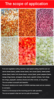 Fruit- en groentesnijmachine, aardappelblokjes productielijn, gesneden aardappelen, bamboescheuten, appels, wortelen, knoflook, chilipepers