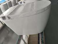 WC intelligent monobloc au design épuré, forme allongée, à poser au sol, avec fonction de nettoyage féminin, séchage à l'air, télécommande et siège chauffant