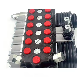 วาล์วไฮดรอลิกแบบแมนนวลและจอยสติ๊กพร้อมวาล์วไฮดรอลิก TR55 4ช่องสำหรับ TR55: ฉลากส่วนตัวผลิตและผลิตตามสั่ง - Product Image 5