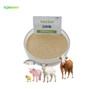 High Purity Food Grade Alpha-Amylase <strong>Enzyme</strong> for Food Processing - Product Image 5