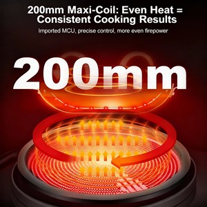 Điều khiển cảm ứng 220-240V 2 bếp từ điện đôi Bếp cảm ứng - Product Image 3