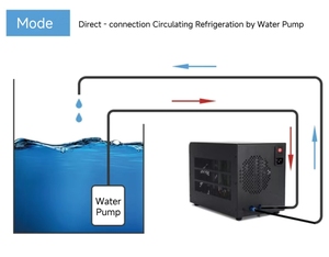 0,3P 0,5P 0,8P Kaltwasser-Tauchkühler Luftkühler Eisbad-Kühler Kaltwasser-Tauchbecken mit Kühler und Filter Ozon - Product Image 5